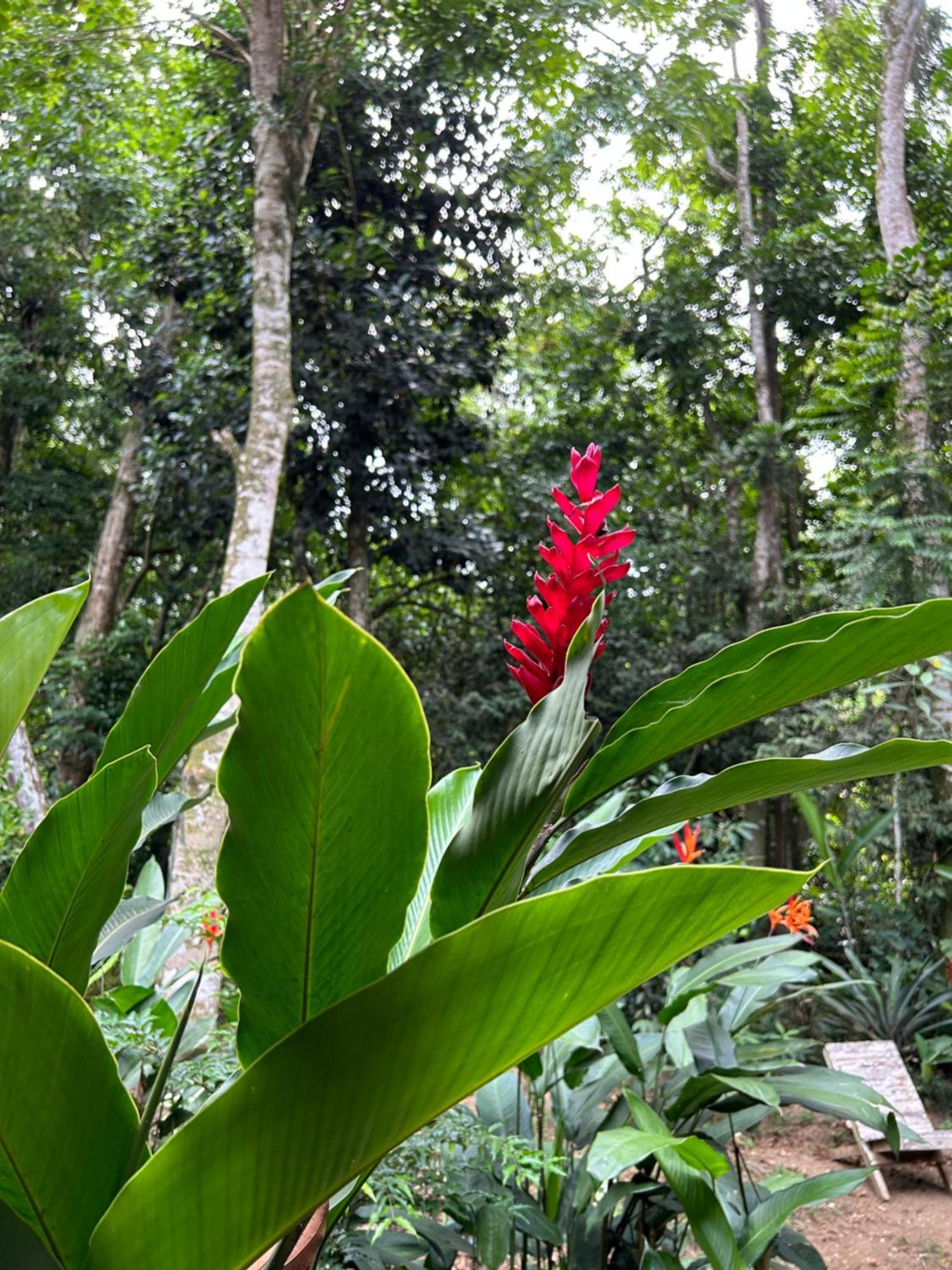 Chale Ouro Verde Angra dos Reis Dış mekan fotoğraf